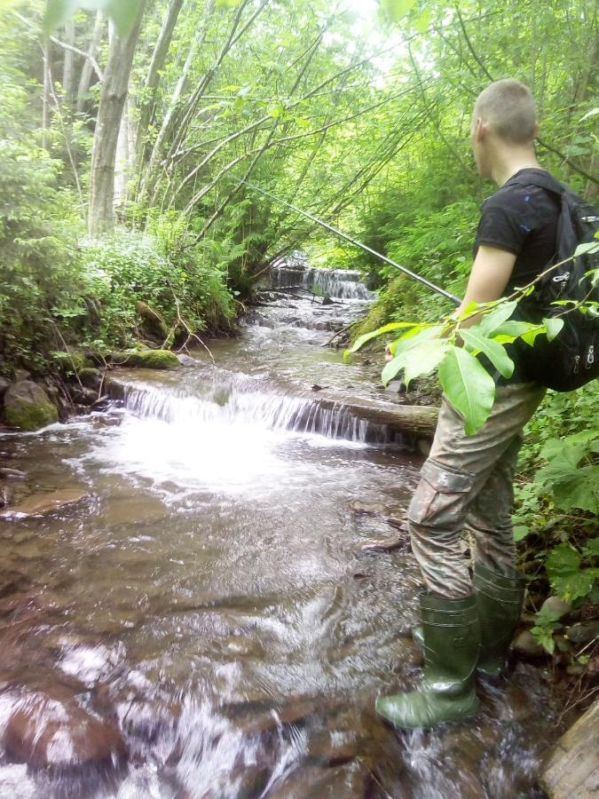 Sadyba U Vani Воловец Экстерьер фото